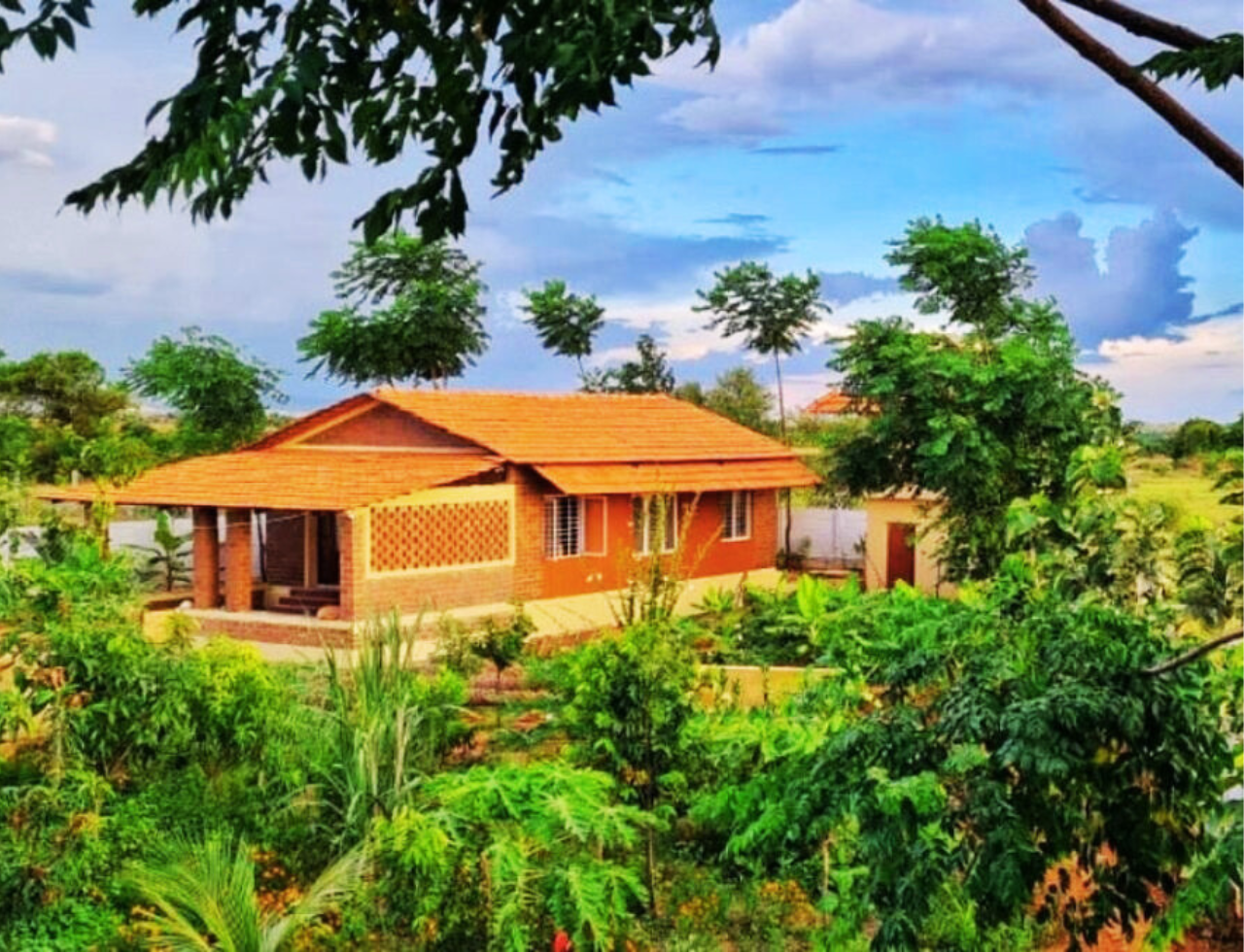bengaluru couple grows organic food forest build sustainable mud house