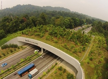 Wildlife Overpass Corridor